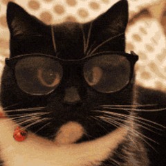 meowst3r