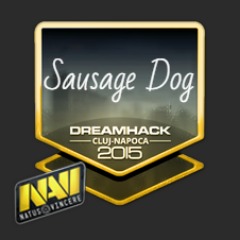 Sausage_Dog