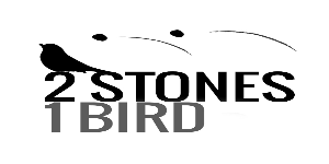 2Stones1Bird