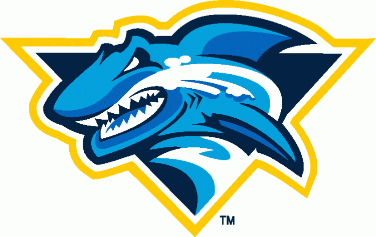 BRZOZA SHARKS