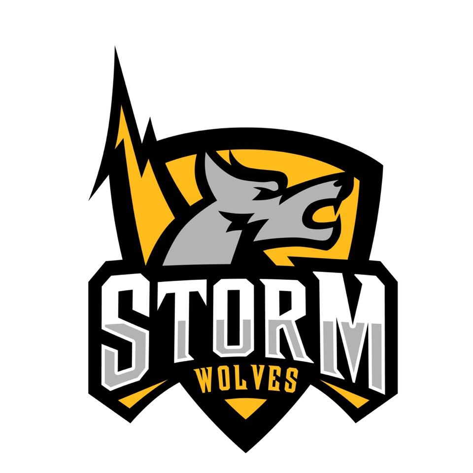 картинки destroke. Storm wolves. Storm wolves. Storm wolves. Wolf gym logo.